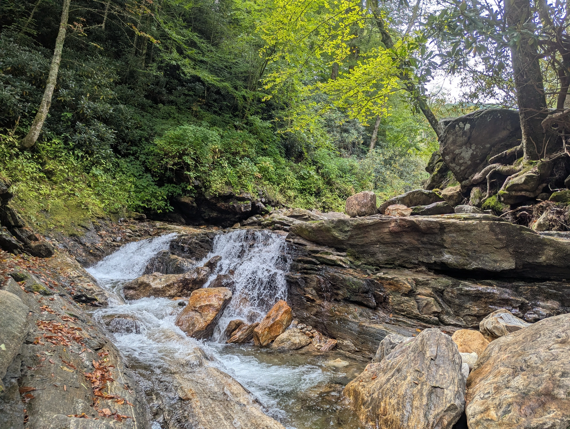 Exploring Skinny Dip Falls: A Refreshing Hiking Adventure Along Blue Ridge Parkway